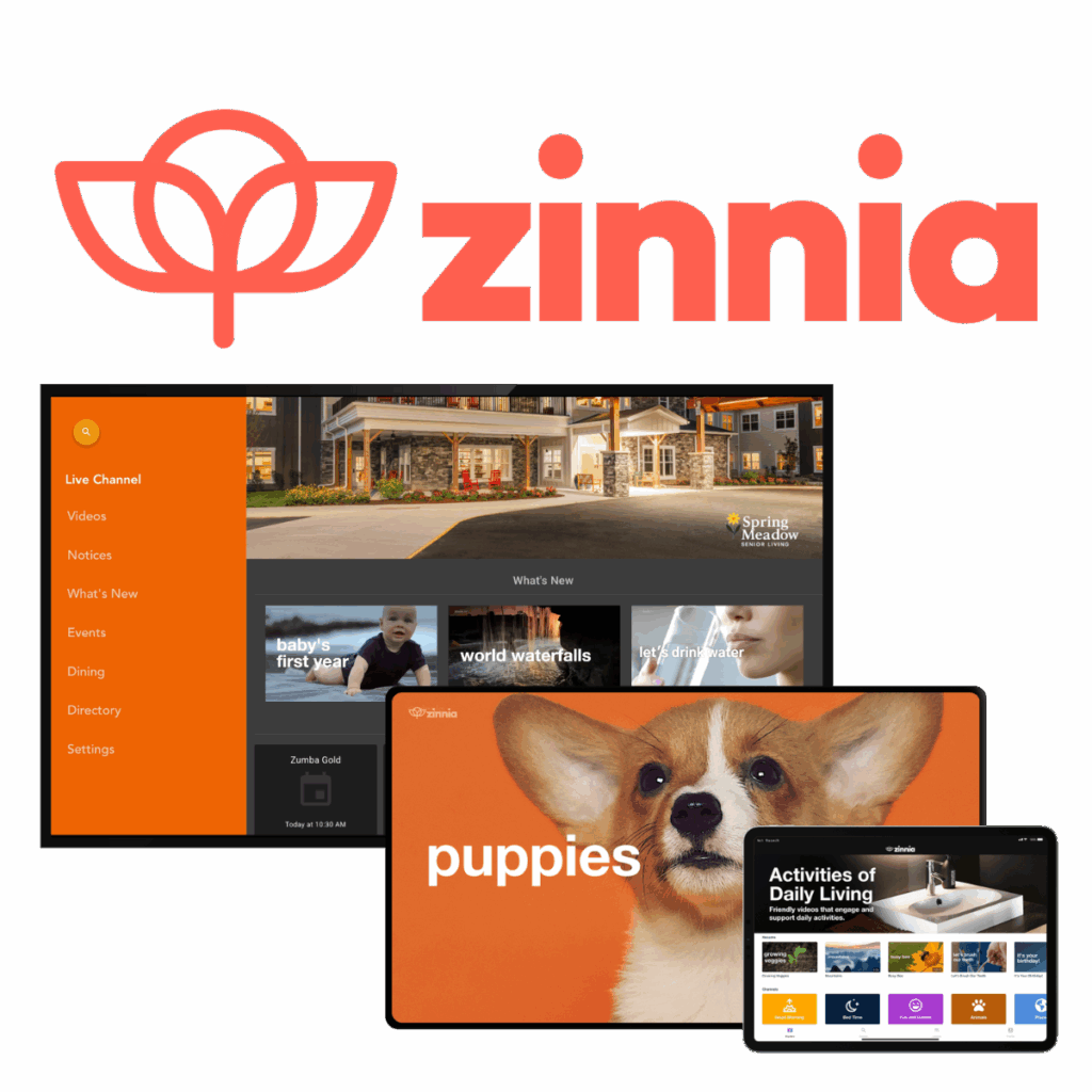Zinnia